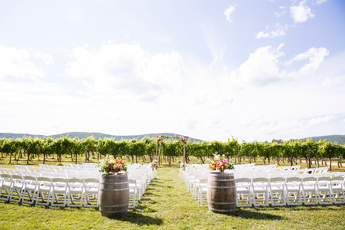 Best Vineyard Wedding Venues in Virginia - Image Property of www.j-dphoto.com