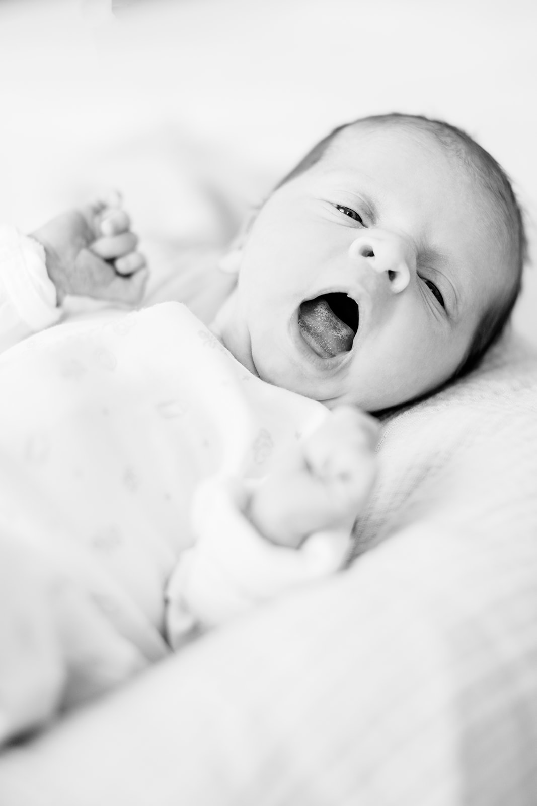 Baby Mellies Newborn Photos - Image Property of www.j-dphoto.com