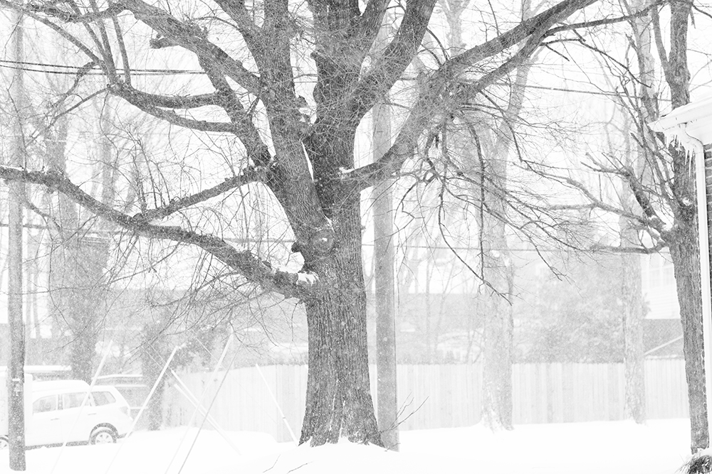 RVA Snow Day 2016 - Image Property of www.j-dphoto.com