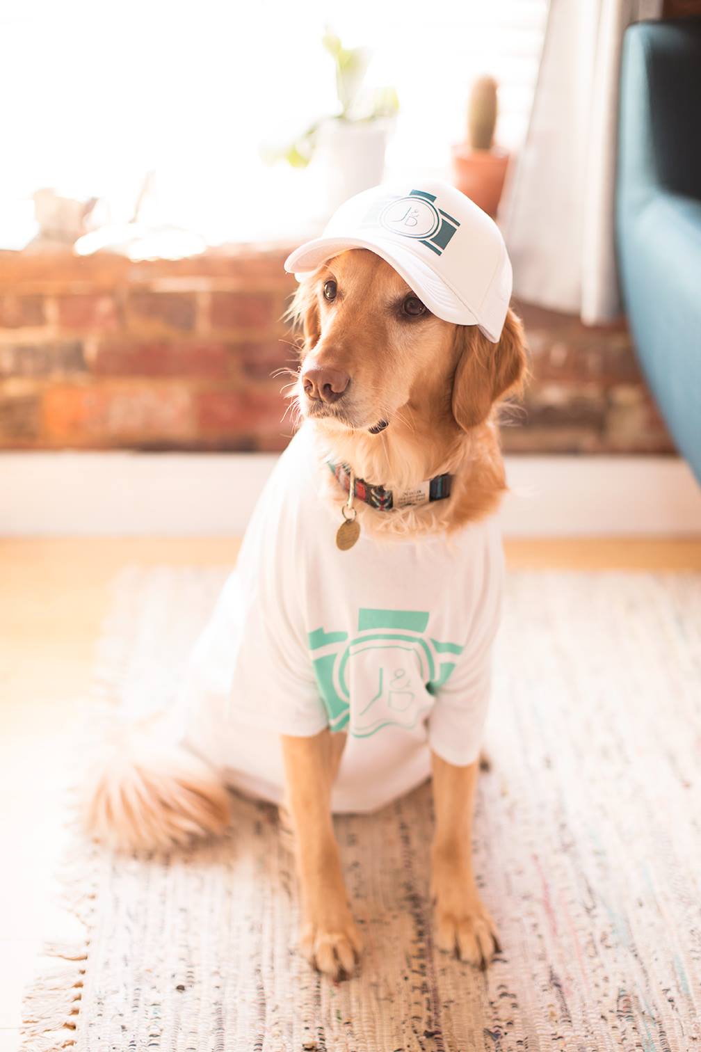 Happy National Puppy Day - Image Property of www.j-dphoto.com