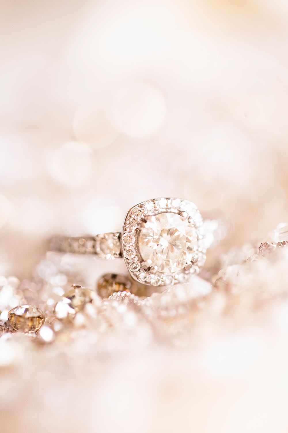 2015 Wedding Photo Favorites - Image Property of www.j-dphoto.com