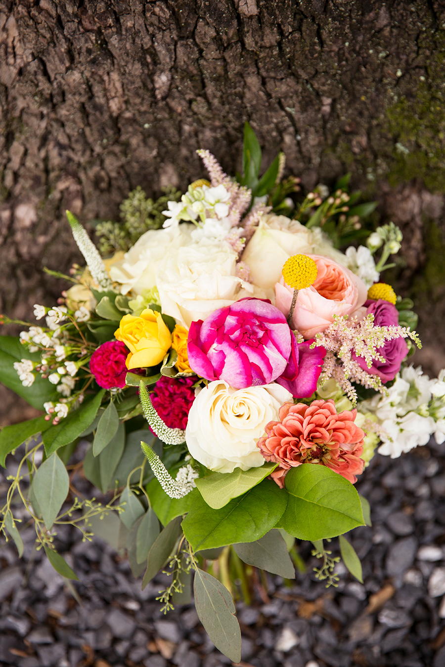 2015 Wedding Photo Favorites - Image Property of www.j-dphoto.com