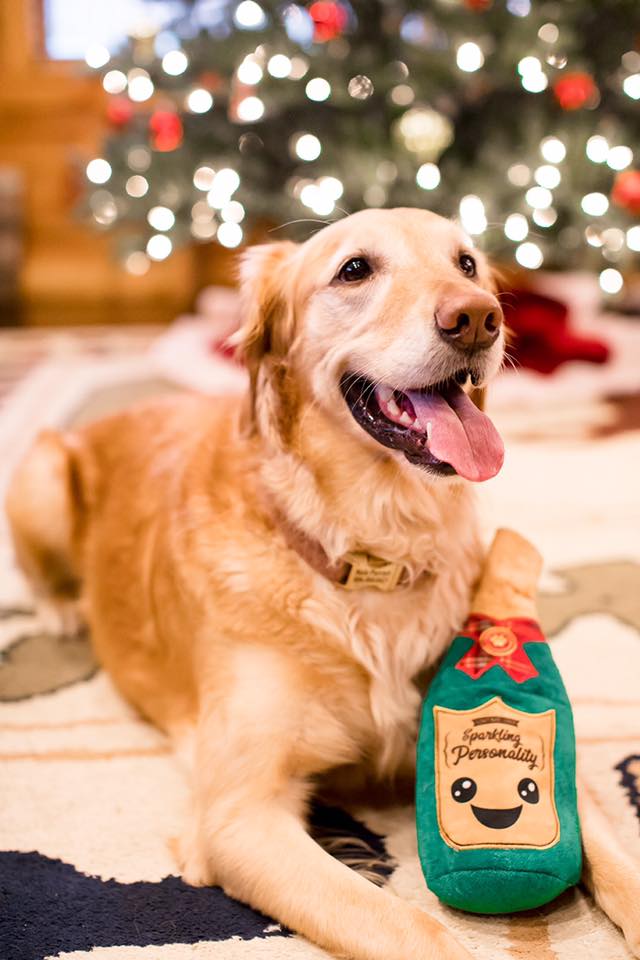 JD Studio Christmas Themed Mini Sessions - Image Property of www.j-dphoto.com