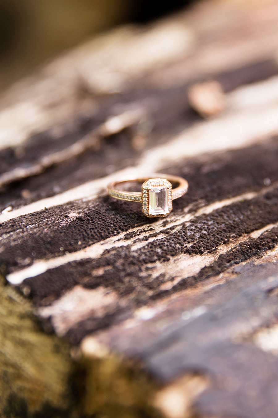 2015 Wedding Photo Favorites - Image Property of www.j-dphoto.com