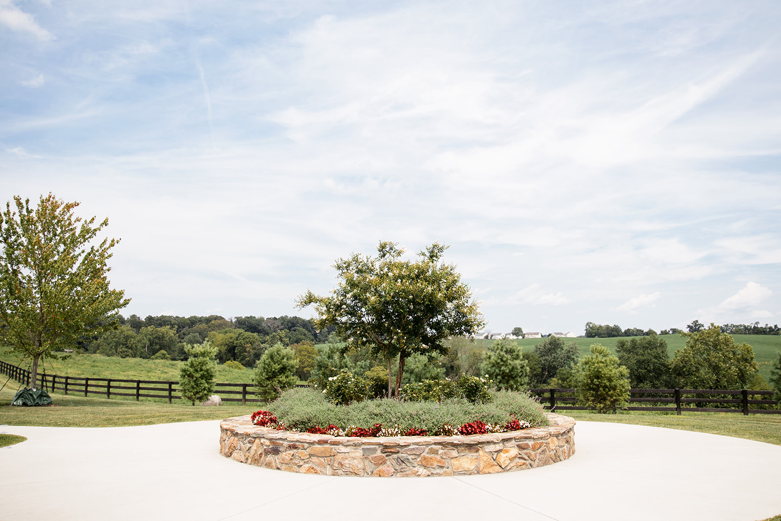 Alex  Kevins DC Wedding at Shadow Creek - Image Property of www.j-dphoto.com