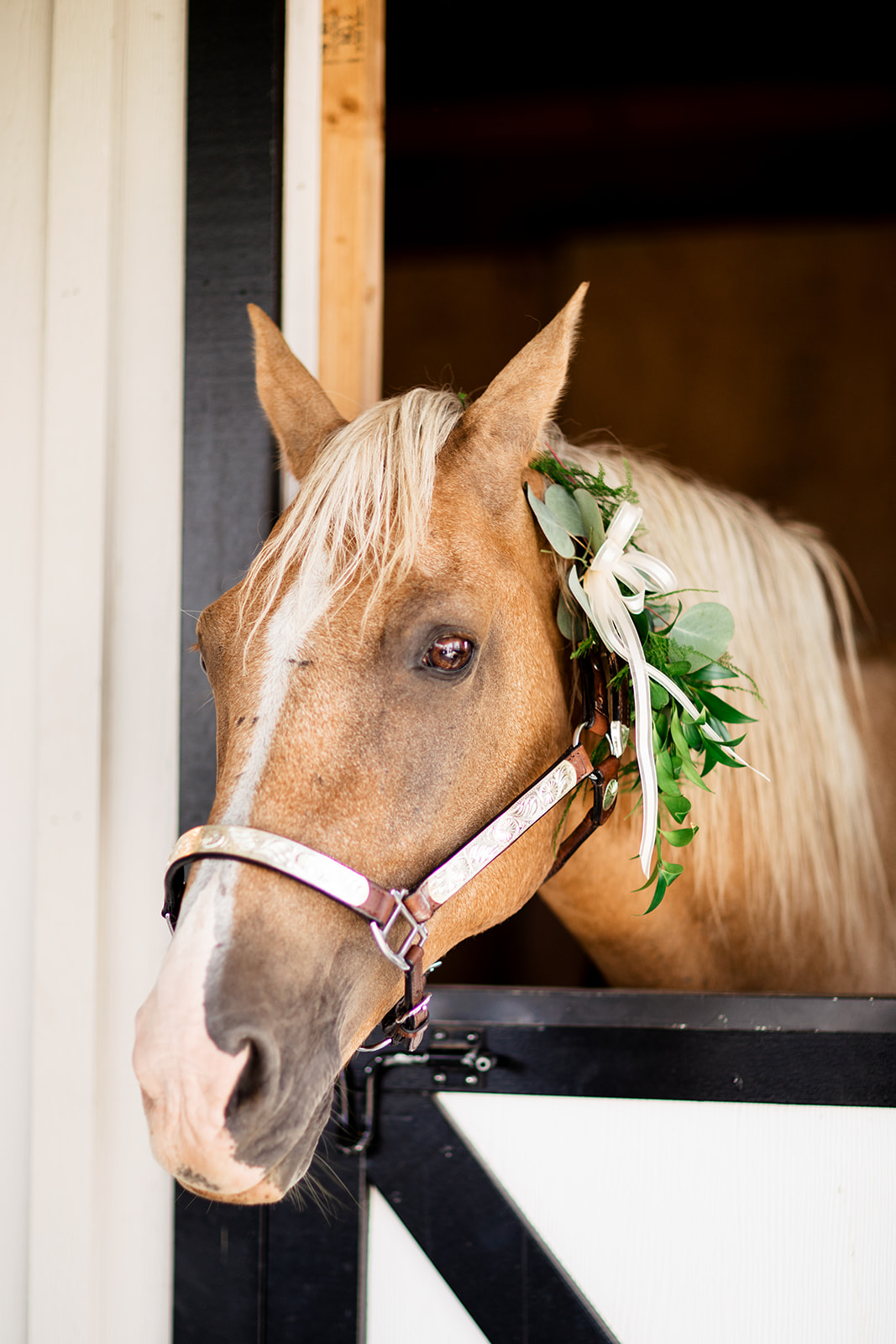 Alex Kevins DC Wedding at Shadow Creek - Image Property of www.j-dphoto.com