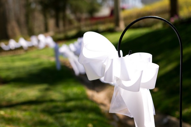 Anna  Jeremys Backyard Wedding - Image Property of www.j-dphoto.com