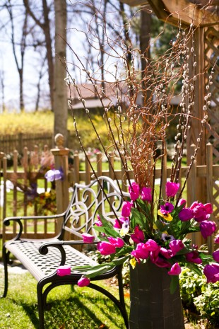 Anna  Jeremys Backyard Wedding - Image Property of www.j-dphoto.com