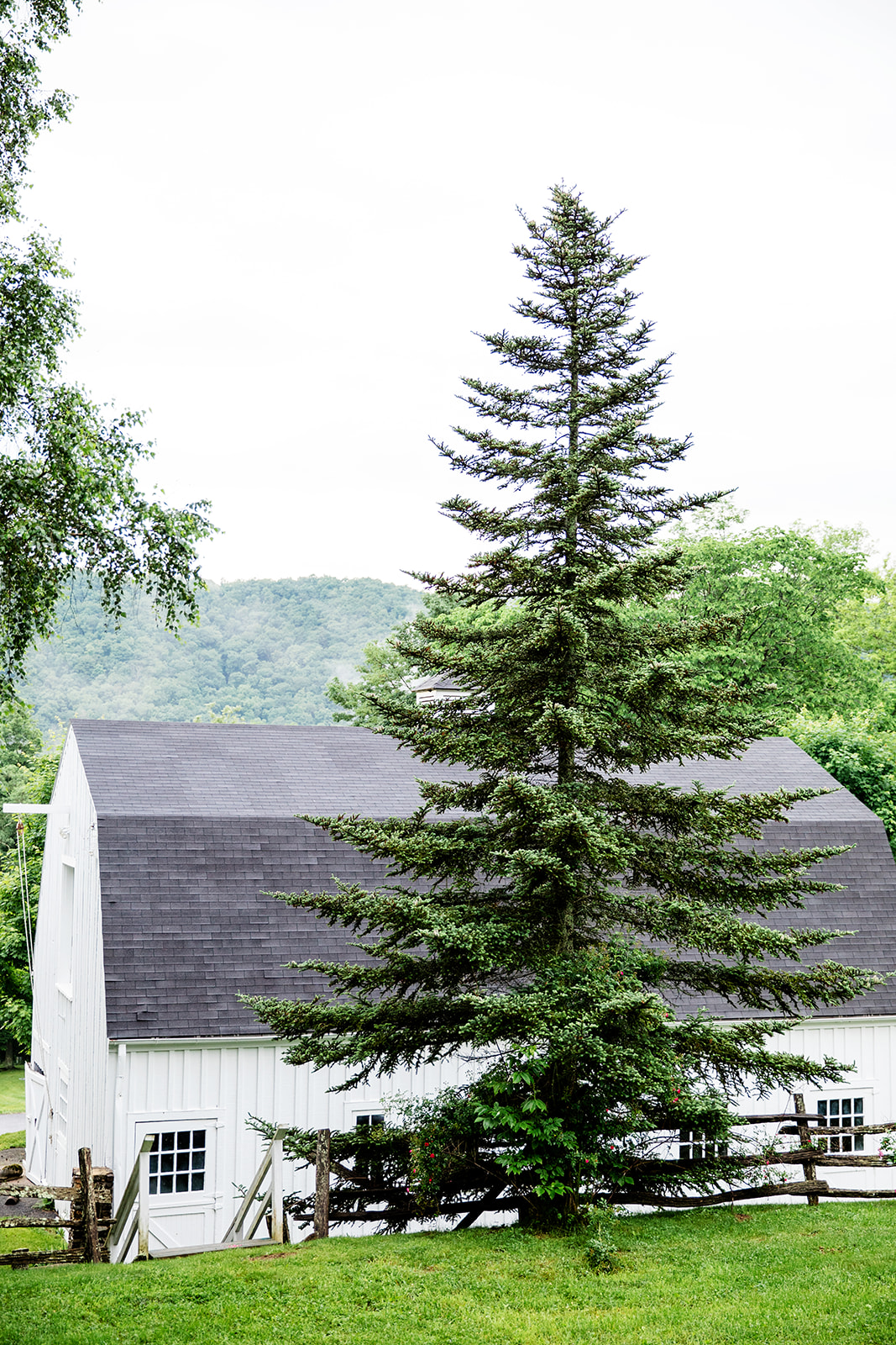 Beth  Devins Misty Mountain Wedding - Image Property of www.j-dphoto.com