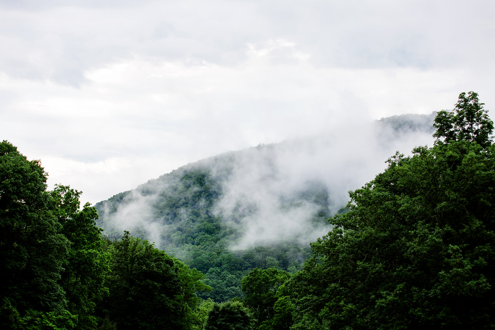 Beth  Devins Misty Mountain Wedding - Image Property of www.j-dphoto.com