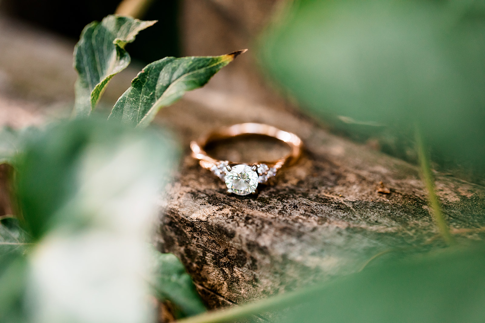 Bailey  Treys Fur Baby Filled At Home Engagement Shoot - Image Property of www.j-dphoto.com