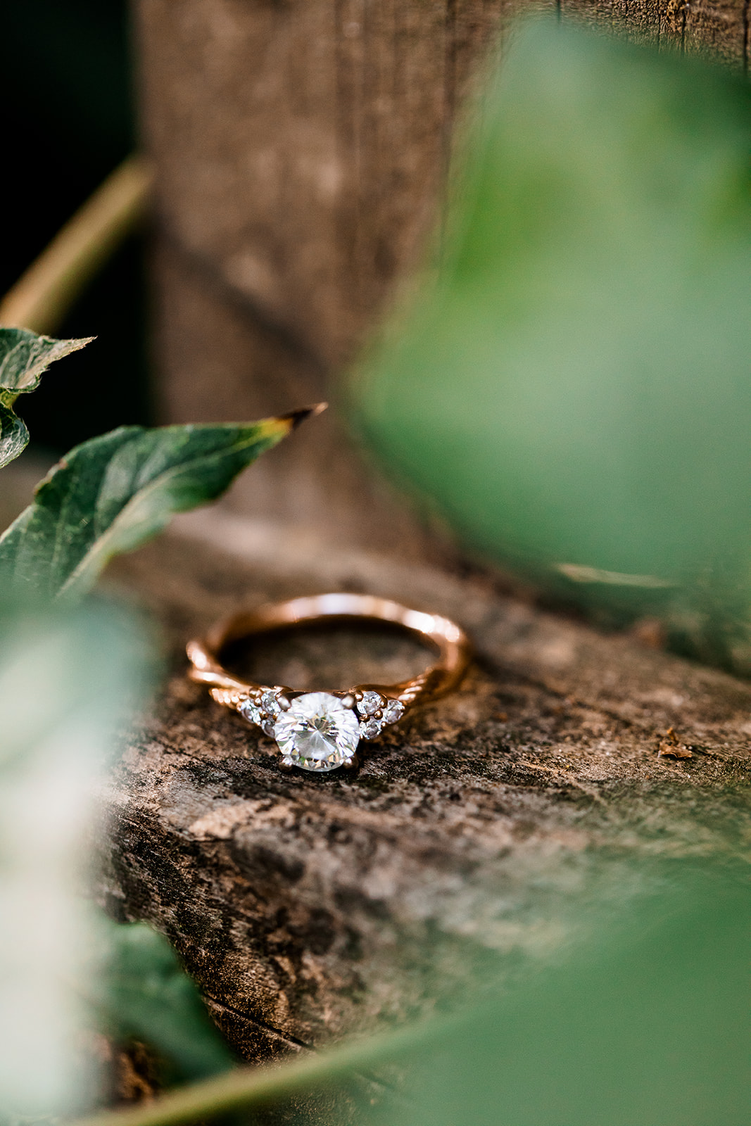 Bailey  Treys Fur Baby Filled At Home Engagement Shoot - Image Property of www.j-dphoto.com