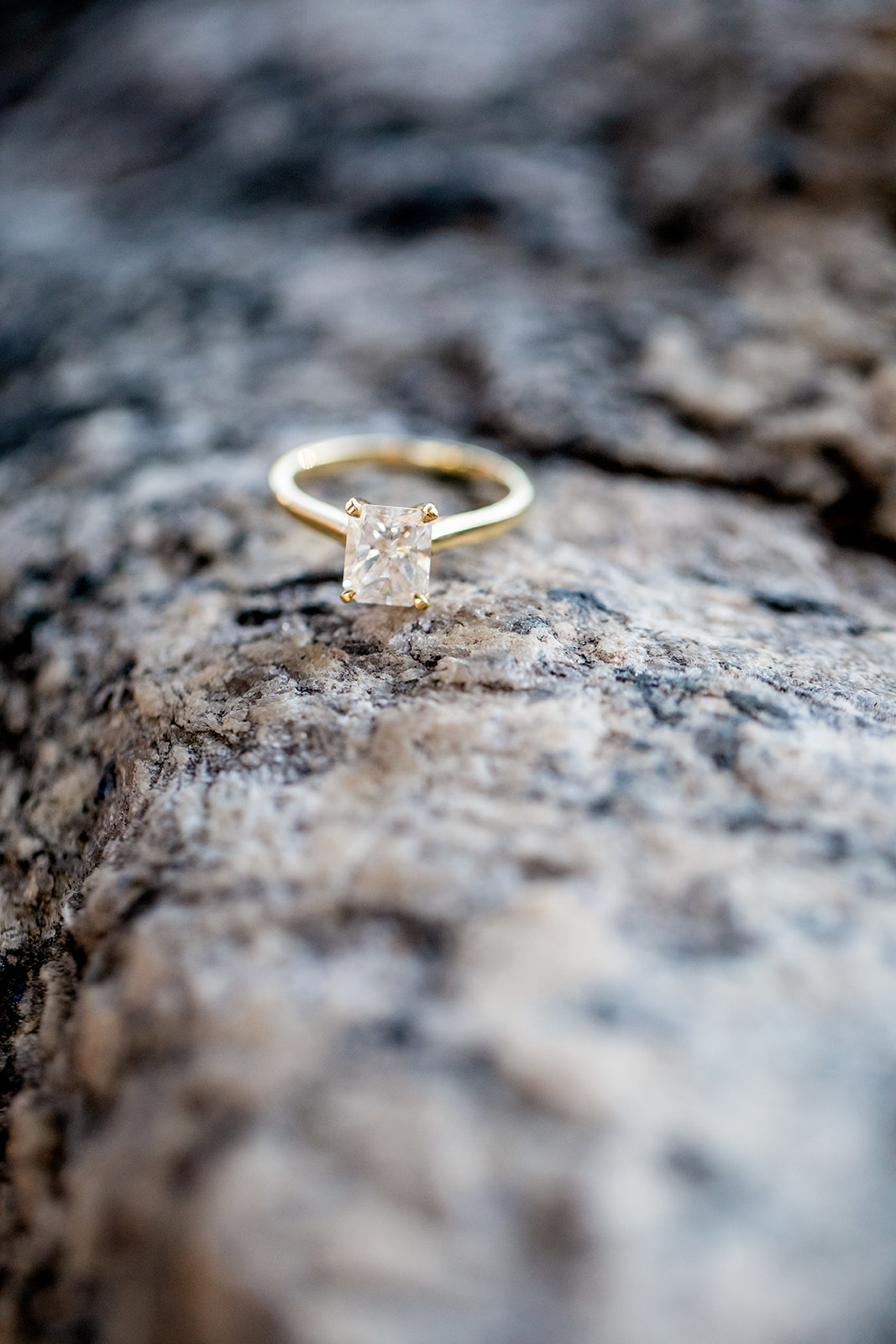 Jackie  Connors Browns Island Engagement Shoot - Image Property of www.j-dphoto.com