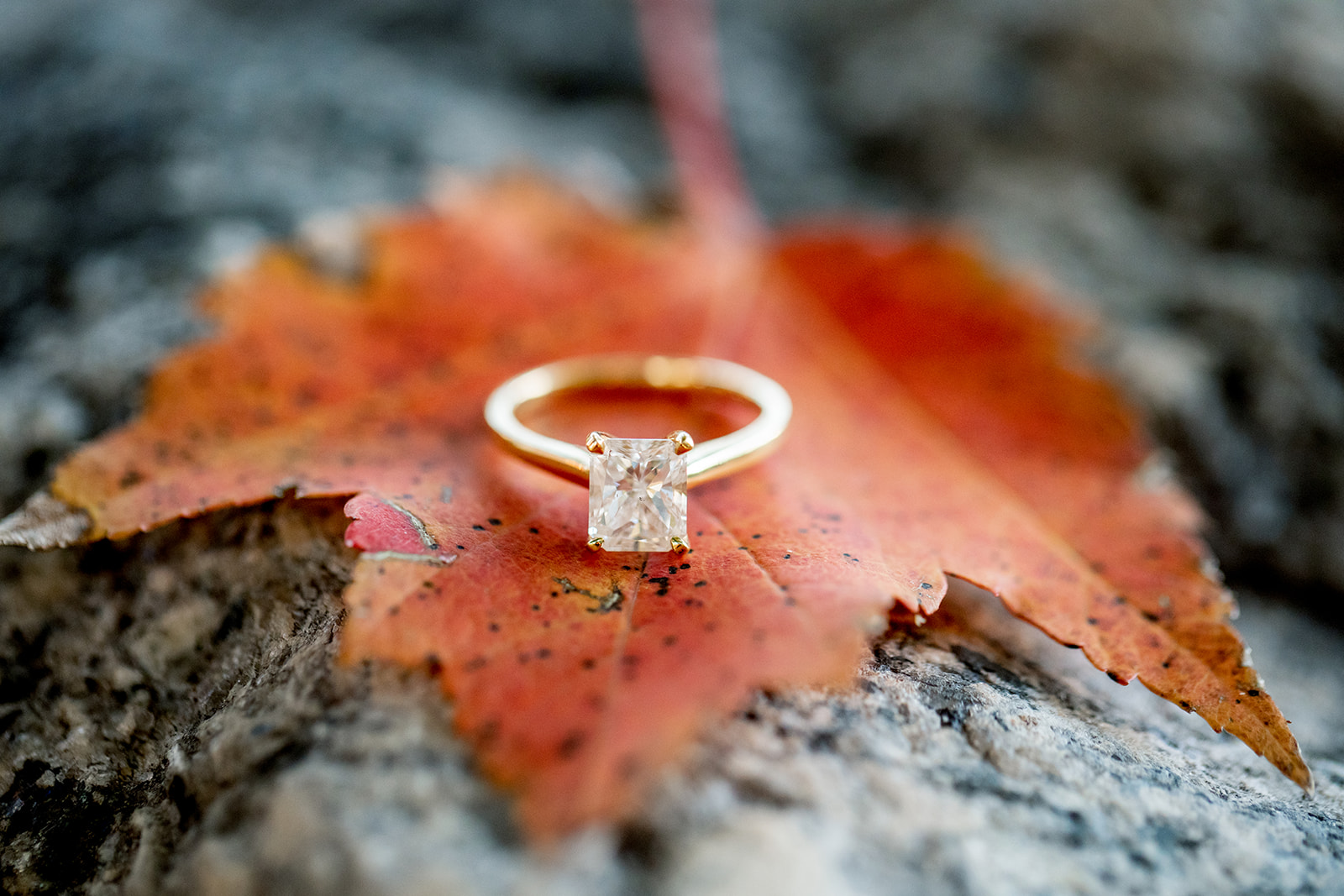 Jackie  Connors Browns Island Engagement Shoot - Image Property of www.j-dphoto.com