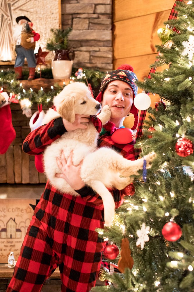 JD Studio Christmas Themed Mini Sessions - Image Property of www.j-dphoto.com