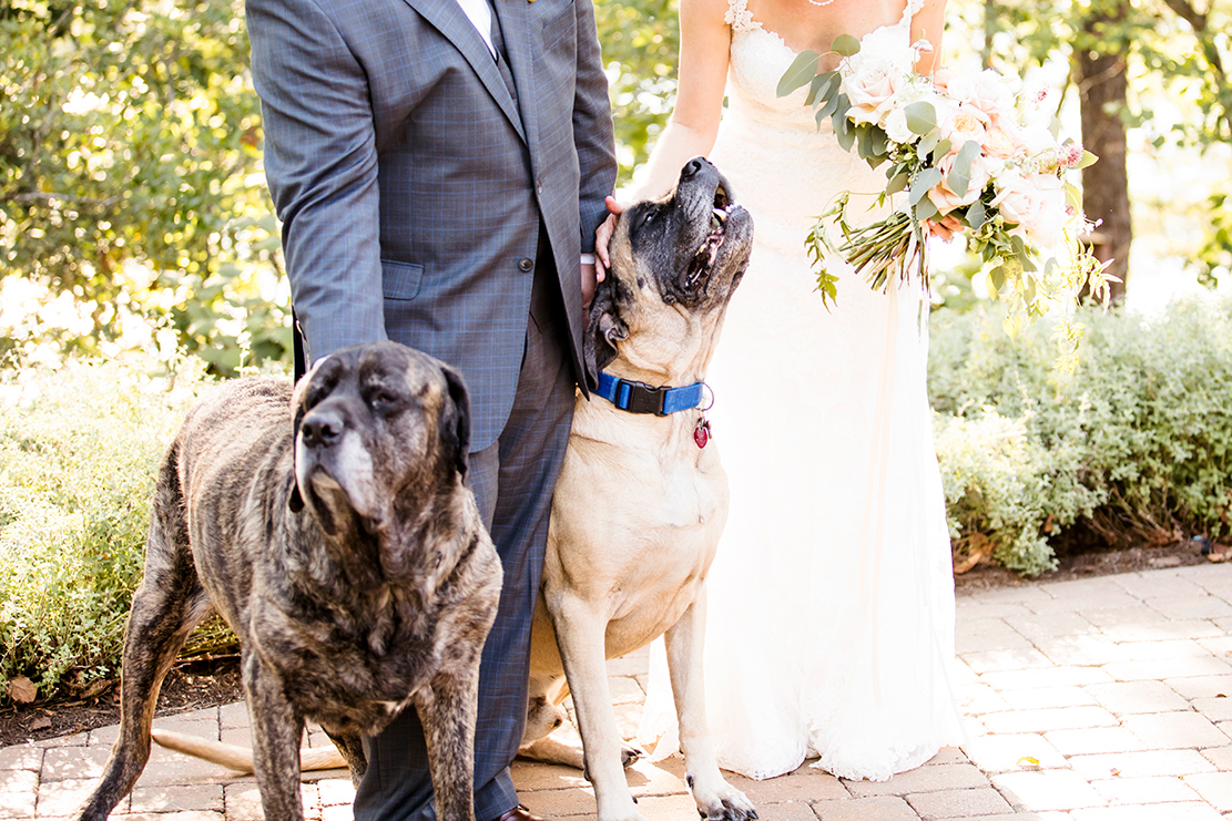 Ryan Jordans Wedding at Smith Mountain Lake - Image Property of www.j-dphoto.com