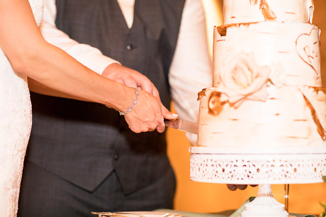 Ryan  Jordans Wedding at Smith Mountain Lake - Image Property of www.j-dphoto.com