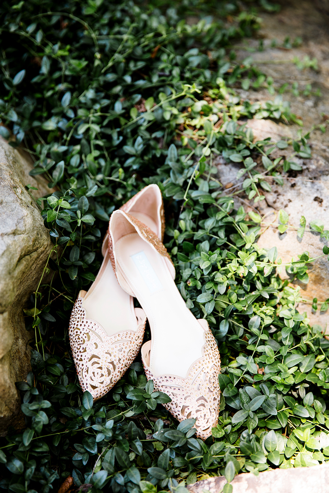 Ryan Jordans Wedding at Smith Mountain Lake - Image Property of www.j-dphoto.com