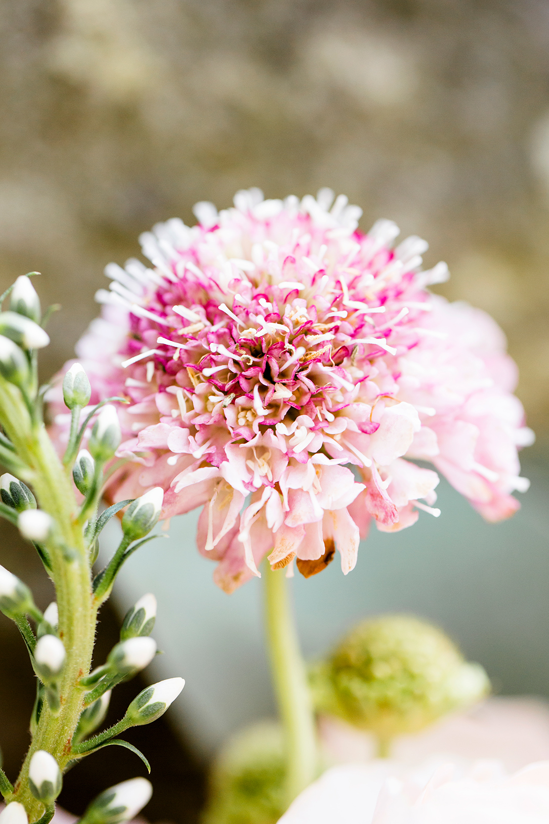 Ryan Jordans Wedding at Smith Mountain Lake - Image Property of www.j-dphoto.com