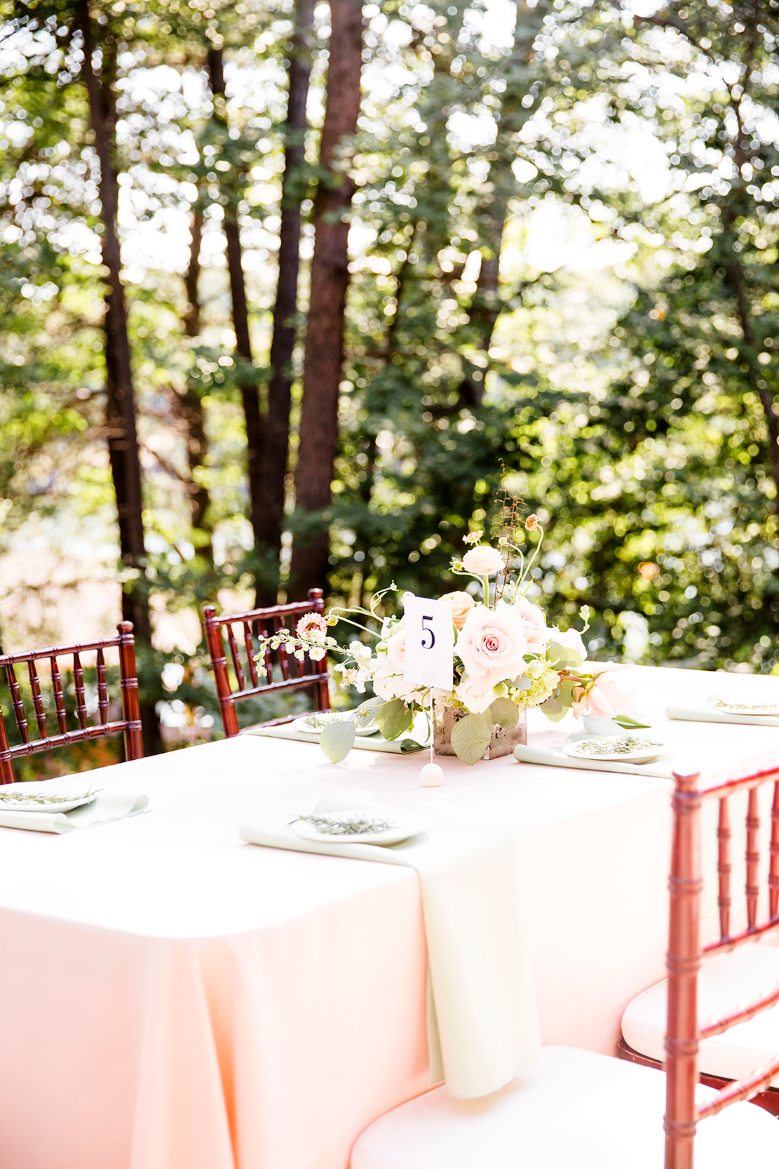 Ryan Jordans Wedding at Smith Mountain Lake - Image Property of www.j-dphoto.com