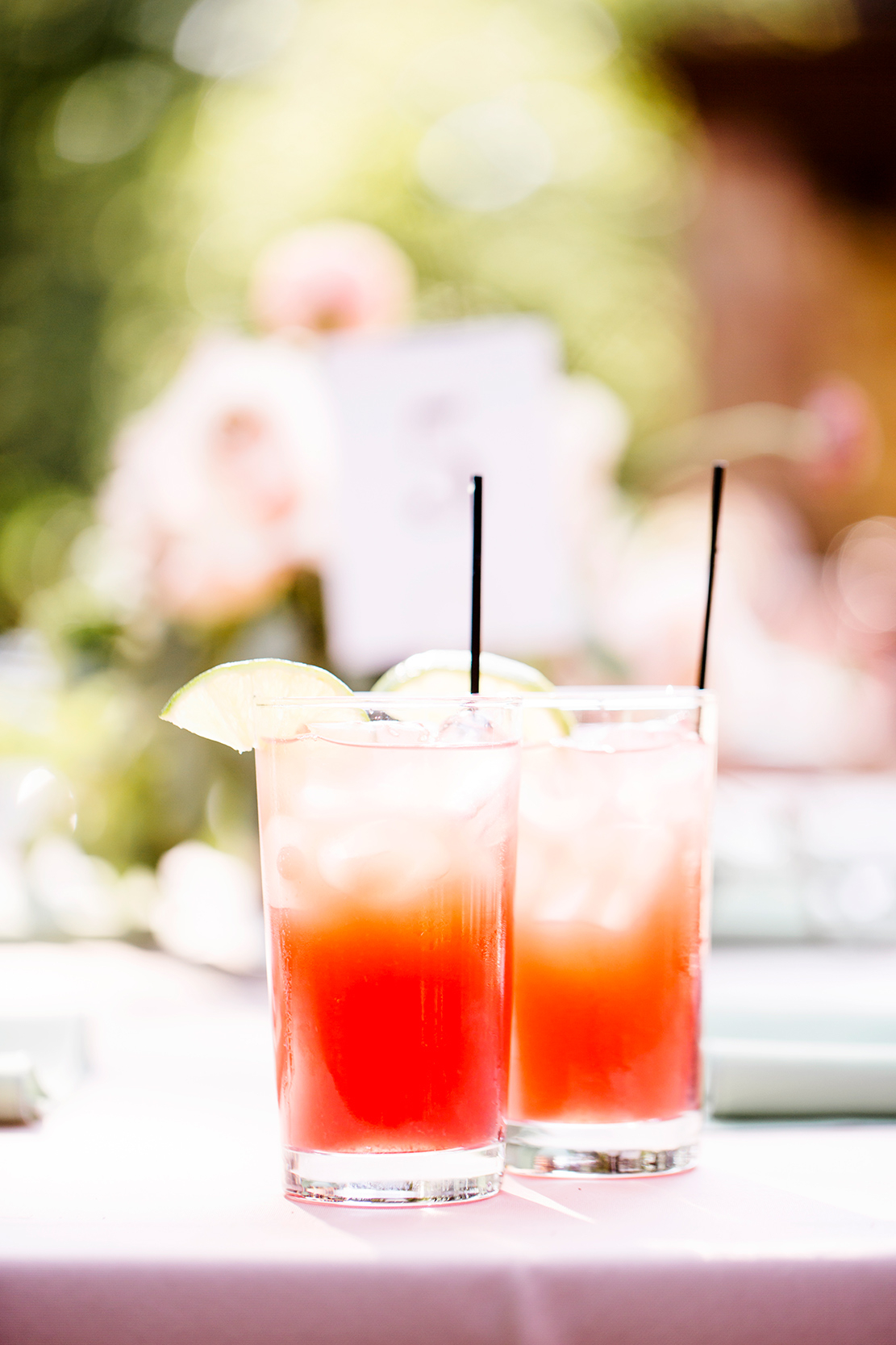 Ryan Jordans Wedding at Smith Mountain Lake - Image Property of www.j-dphoto.com