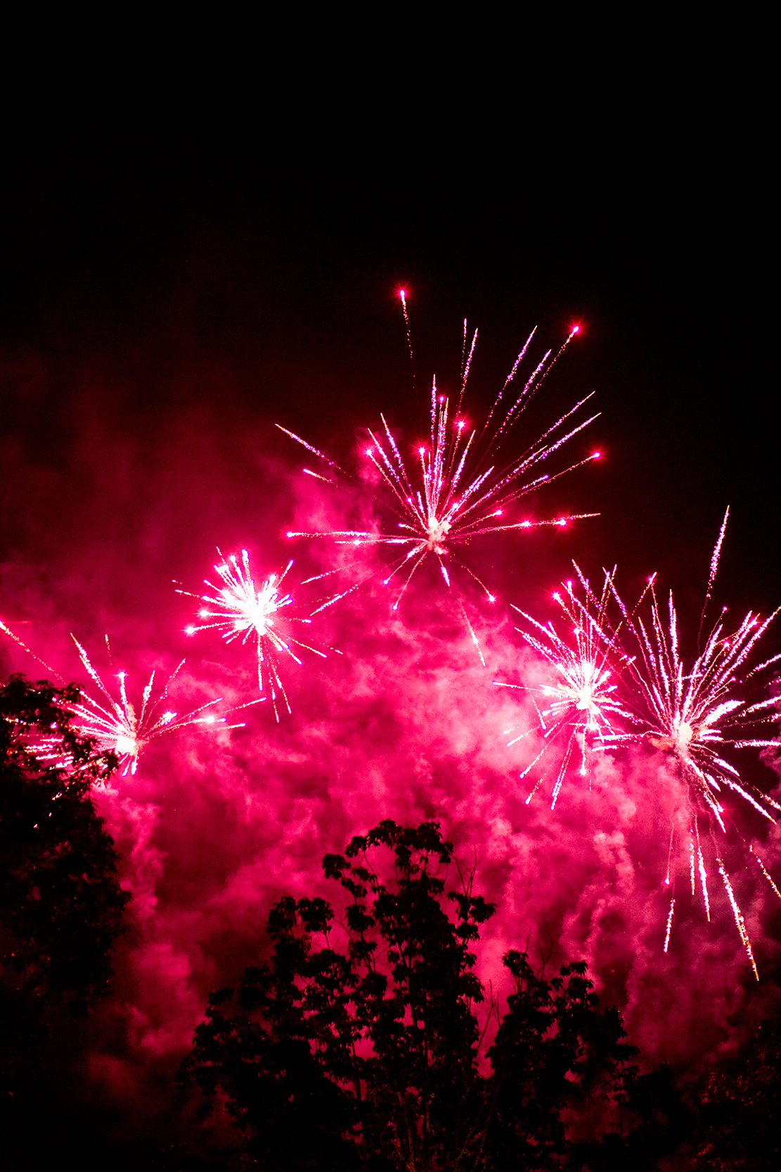 Ryan Jordans Wedding at Smith Mountain Lake - Image Property of www.j-dphoto.com