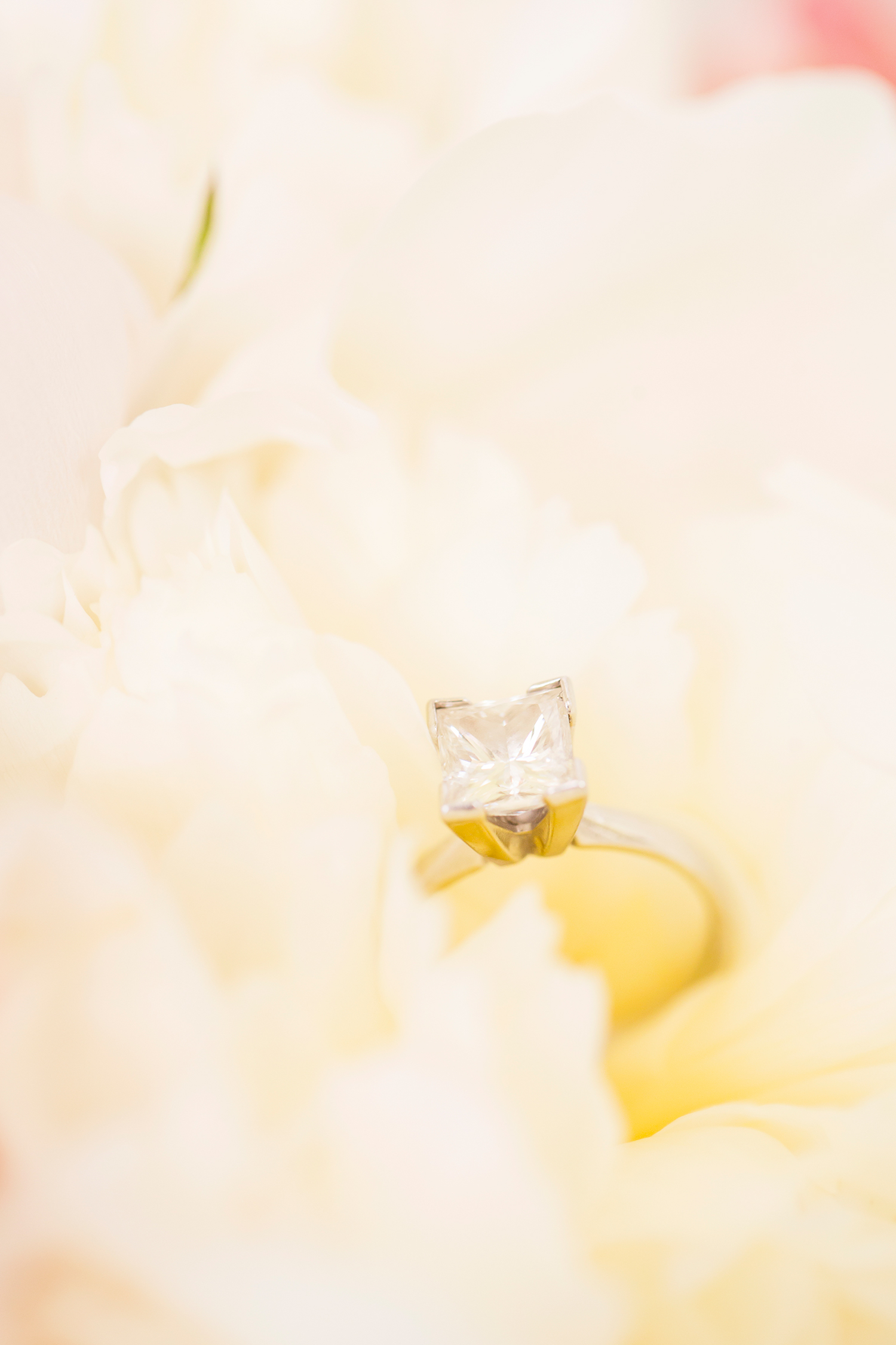 Jessica  Brendans Wedding at The Homestead - Image Property of www.j-dphoto.com