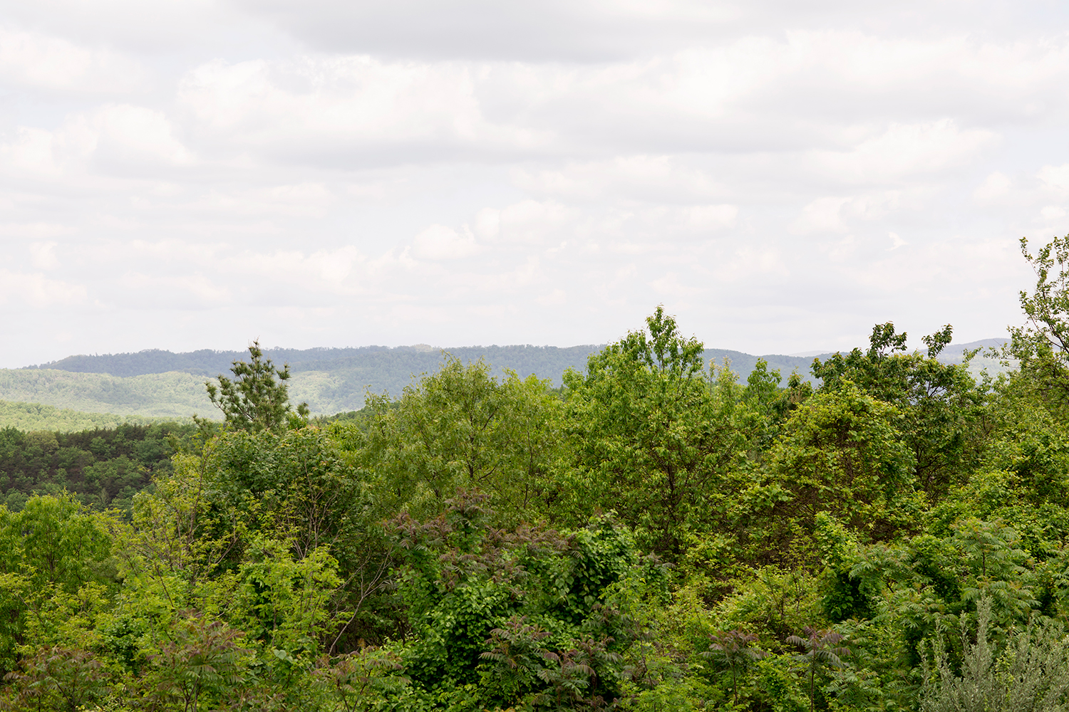 Jessica  Brendans Wedding at The Homestead - Image Property of www.j-dphoto.com