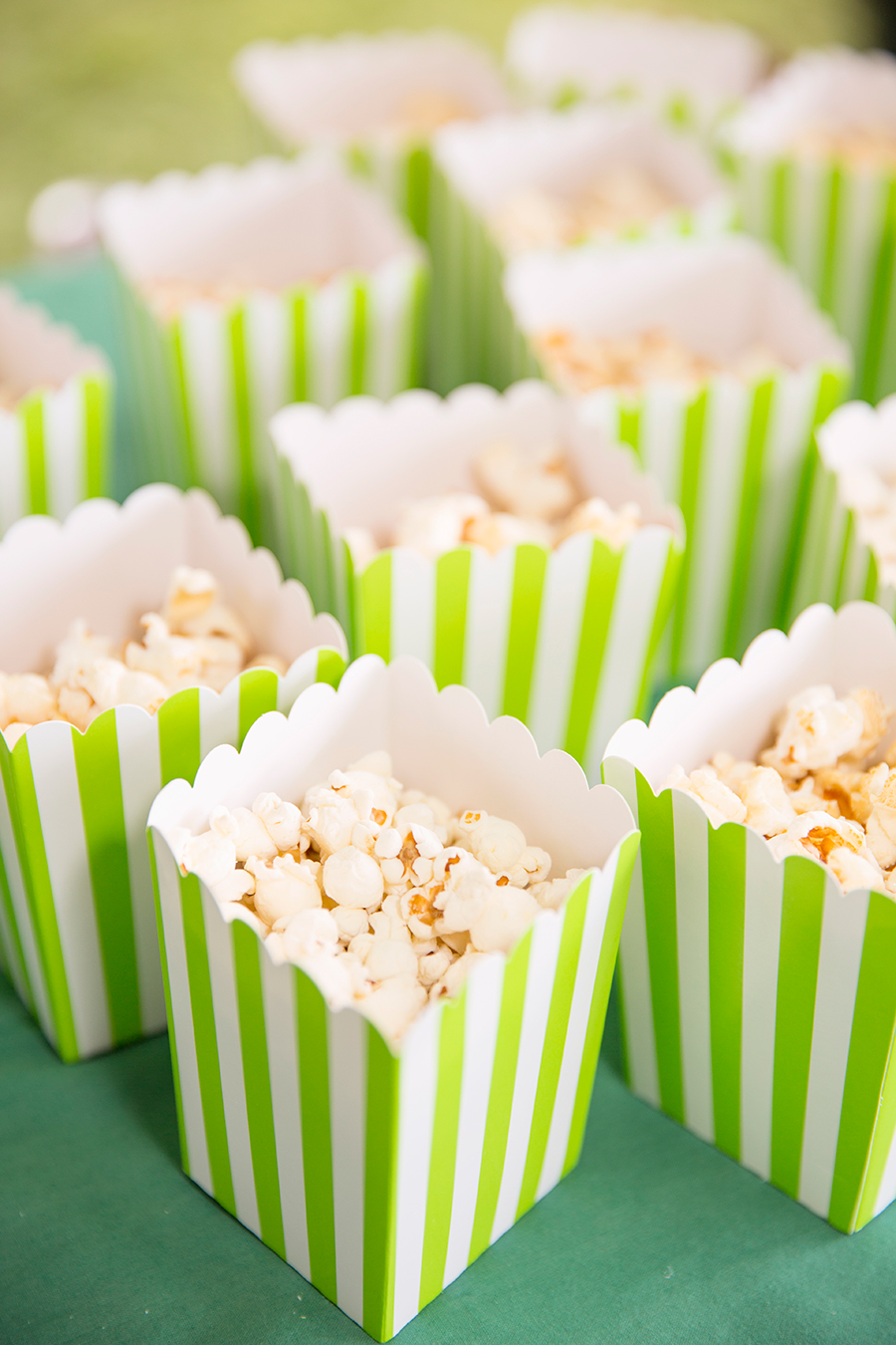 What To Do If You Have Extra Money In Your Budget - Image Property of www.j-dphoto.com