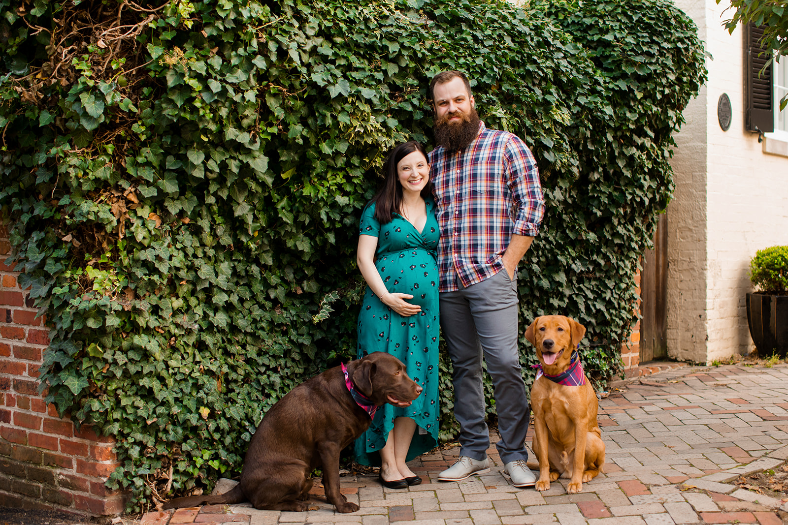 Old Town Alexandria Virginia Maternity Photo Shoot with Dogs - Image Property of www.j-dphoto.com