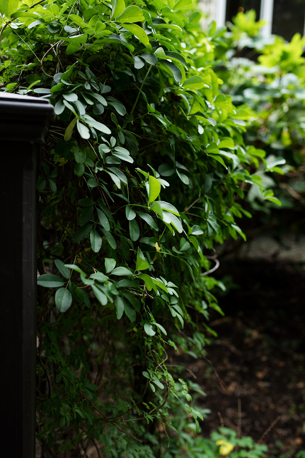 Nicole  Zachs Fall Wedding at The Mill at Fine Creek - Image Property of www.j-dphoto.com