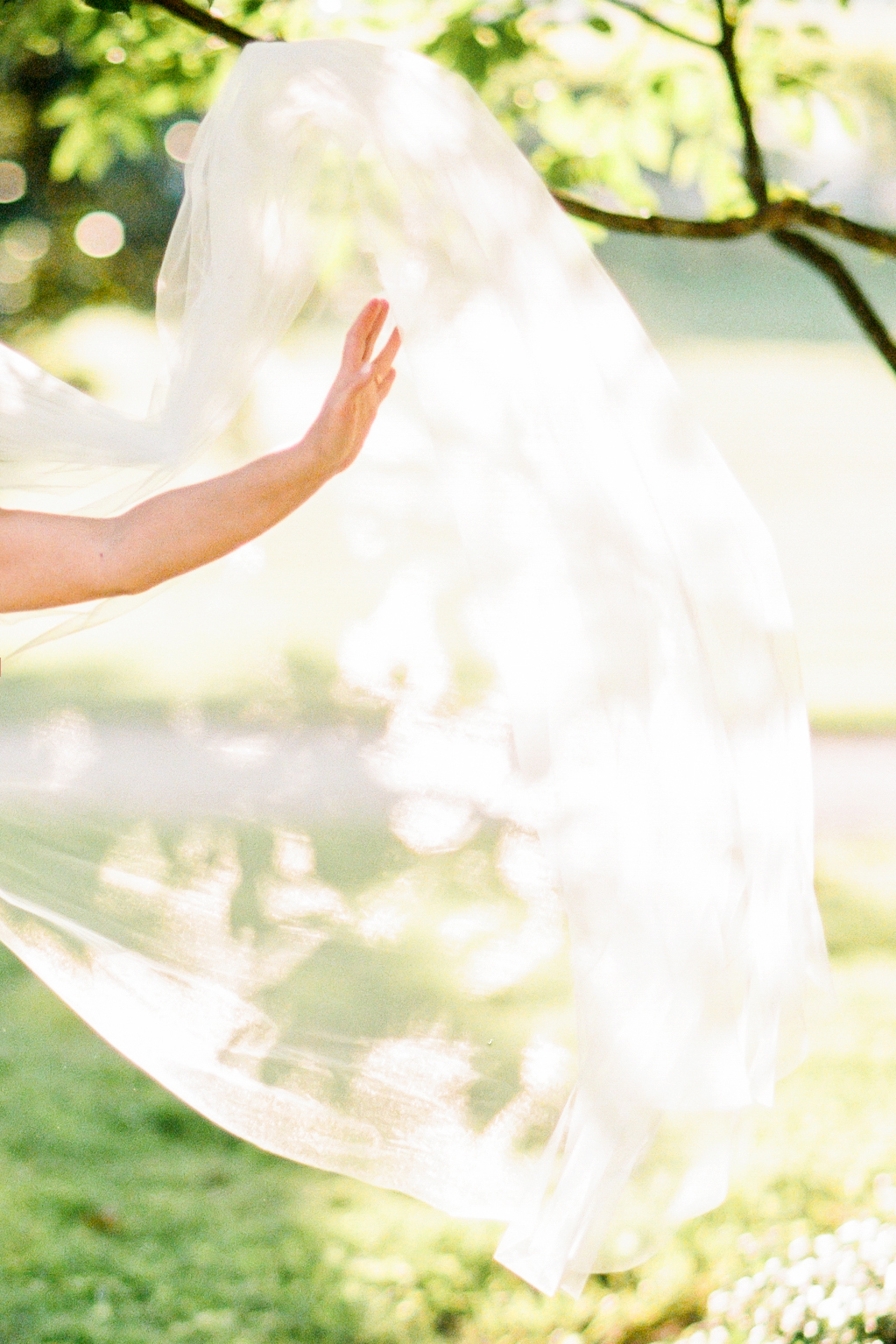 Film Wedding Photographs at Keswick Vineyards - Image Property of www.j-dphoto.com