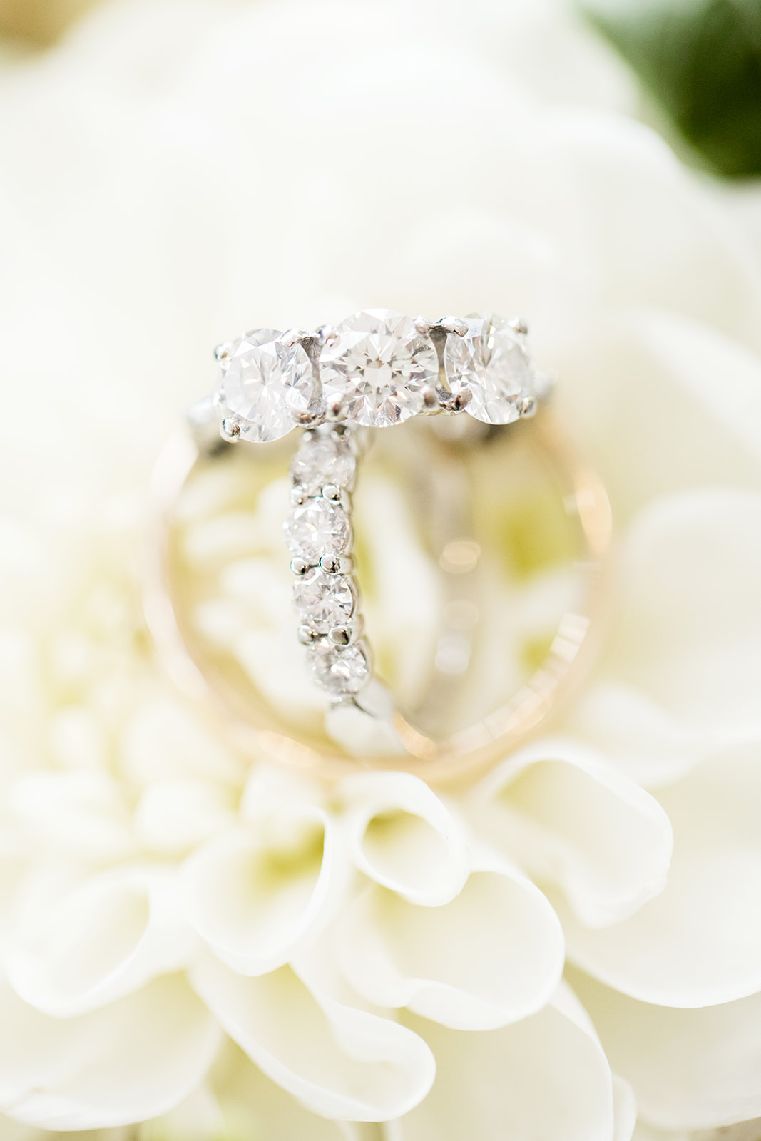 Susan  Sams University of Richmond Wedding - Image Property of www.j-dphoto.com