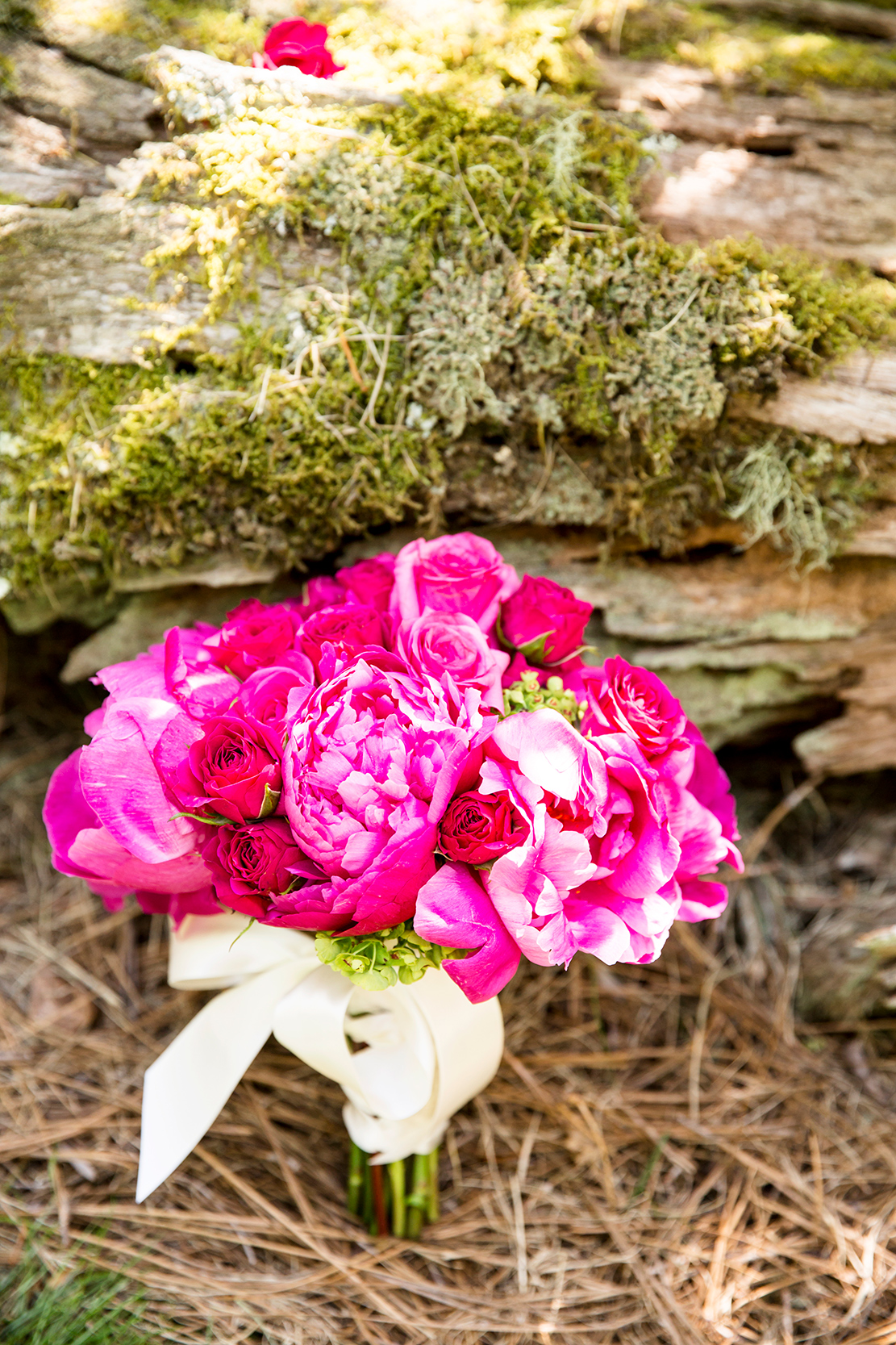 Caroline  Sams Wedding at The Farm at Old Edwards - Image Property of www.j-dphoto.com