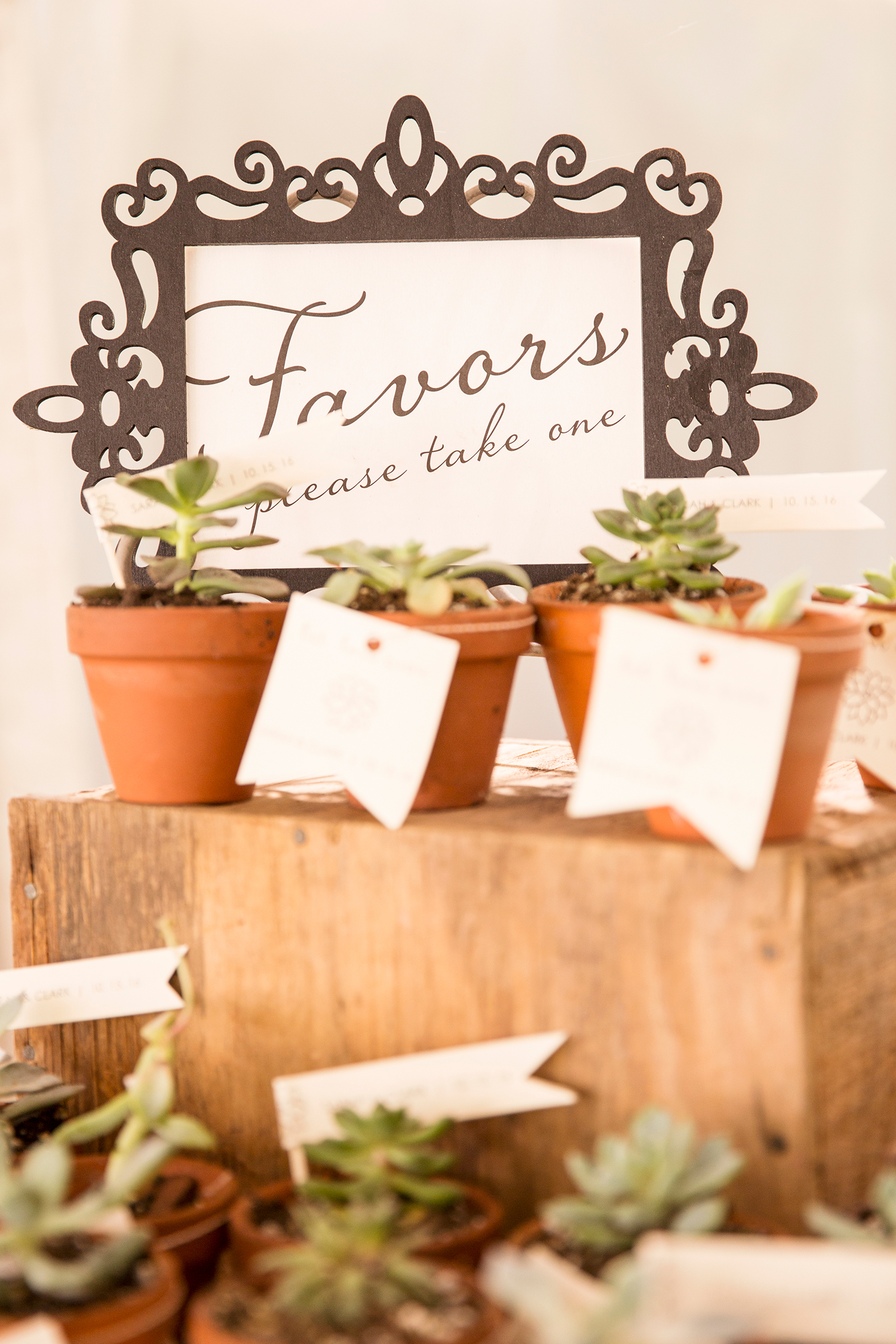 What To Do If You Have Extra Money In Your Budget - Image Property of www.j-dphoto.com