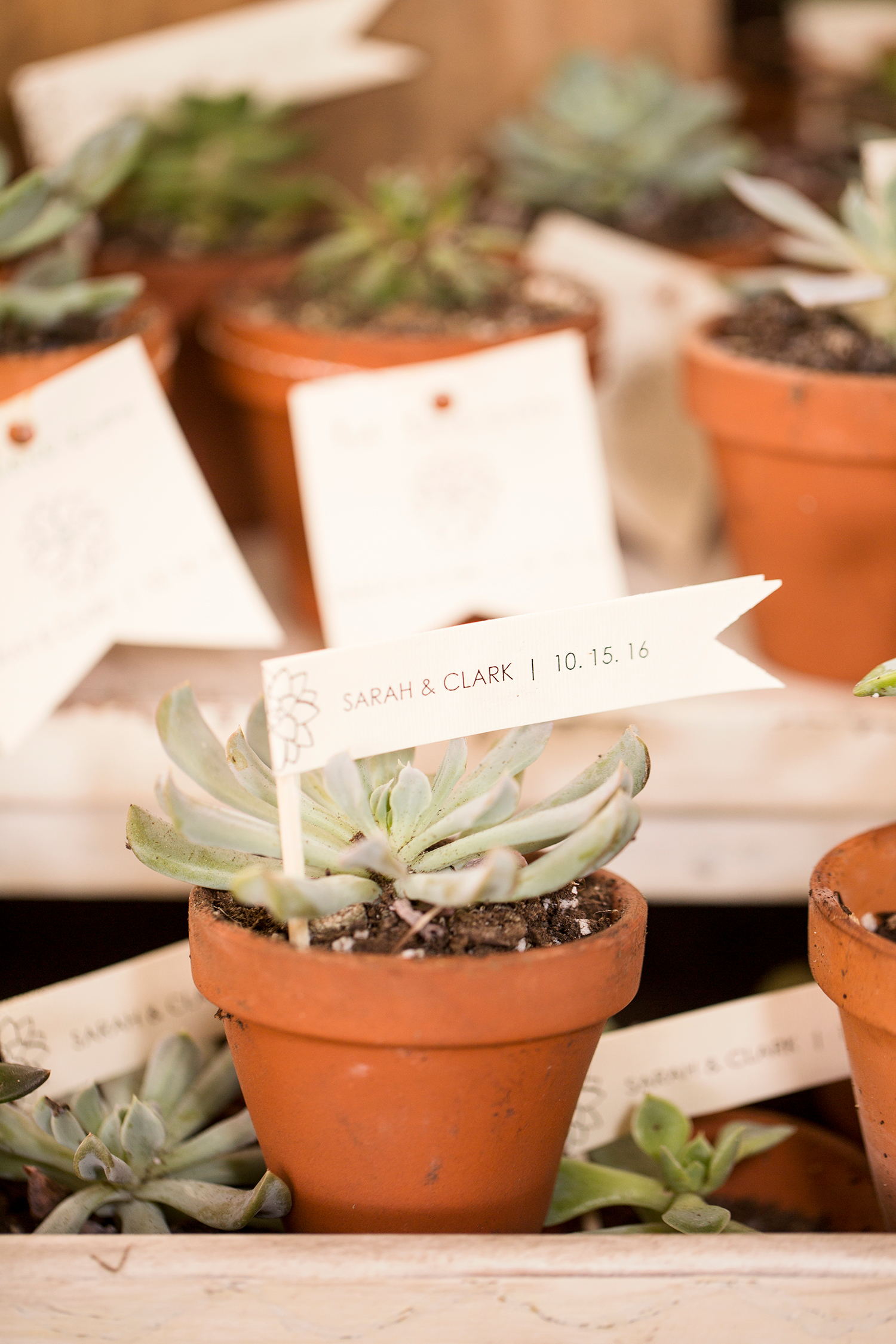 What To Do If You Have Extra Money In Your Budget - Image Property of www.j-dphoto.com