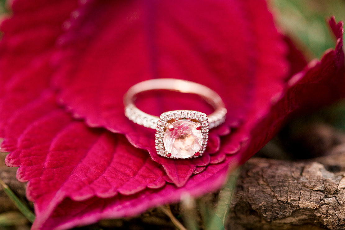 Stephanie  Brandons Engagement Shoot On Libby Hill  - Image Property of www.j-dphoto.com