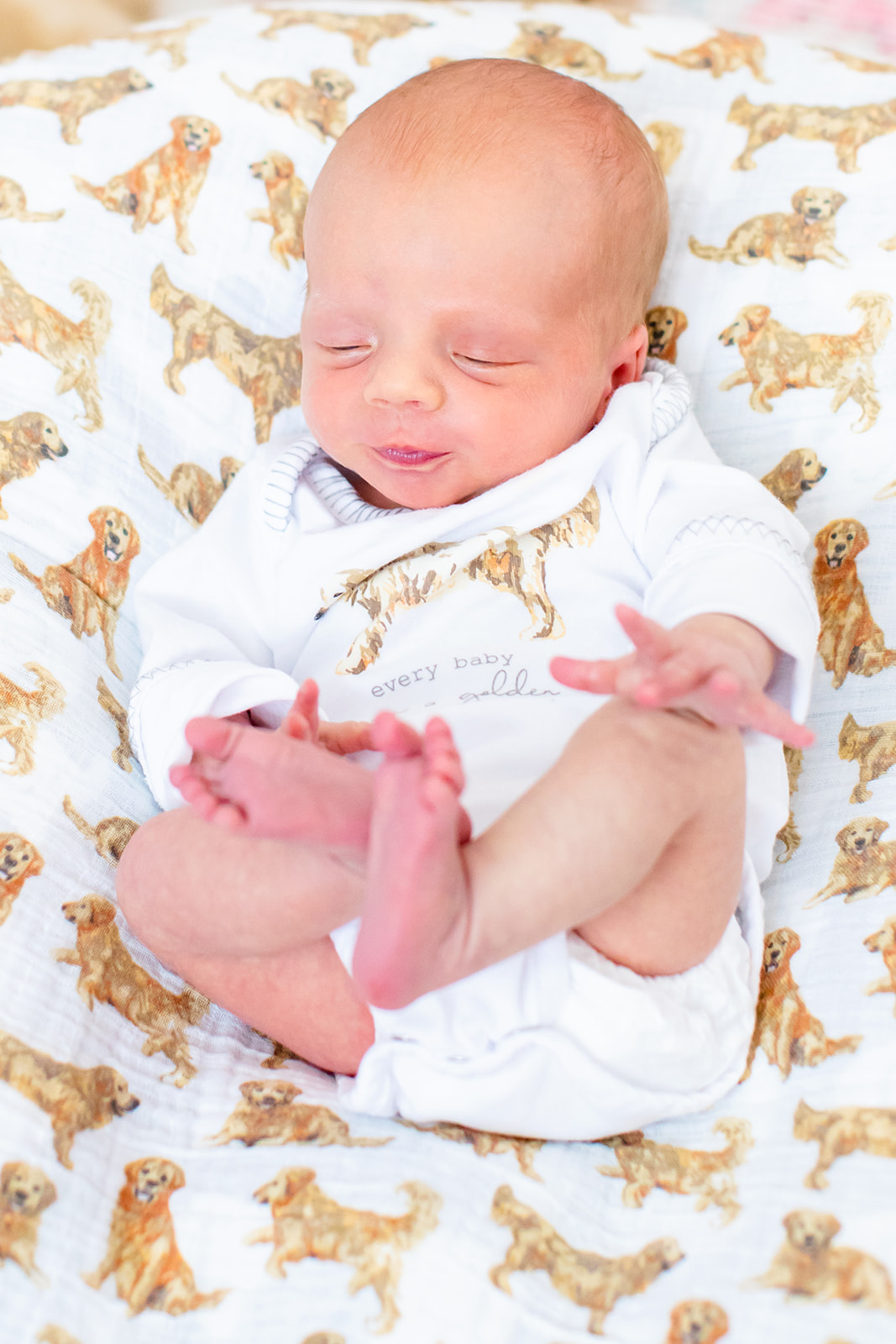 Baby Kackys Lifestyle Newborn Shoot with her Golden Retriever - Image Property of www.j-dphoto.com