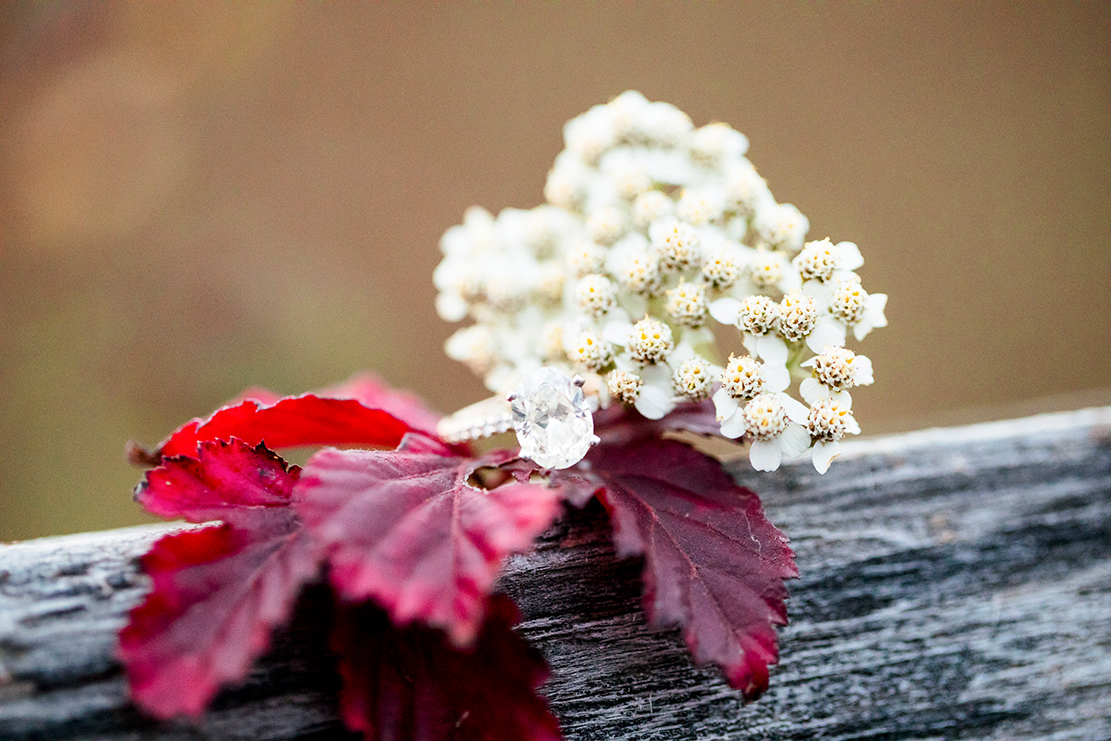 Alexa  Nathans Engagement Shoot on Humpback Rock - Image Property of www.j-dphoto.com