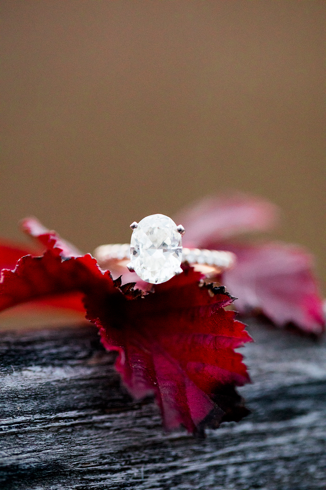 Alexa  Nathans Engagement Shoot on Humpback Rock - Image Property of www.j-dphoto.com
