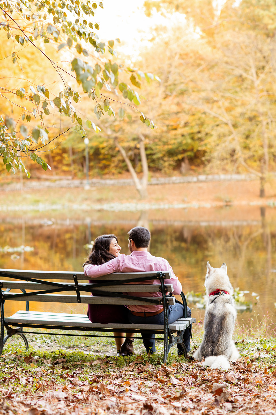 Adam  Taylors Forest Hill Park Fall Engagement Shoot - Image Property of www.j-dphoto.com