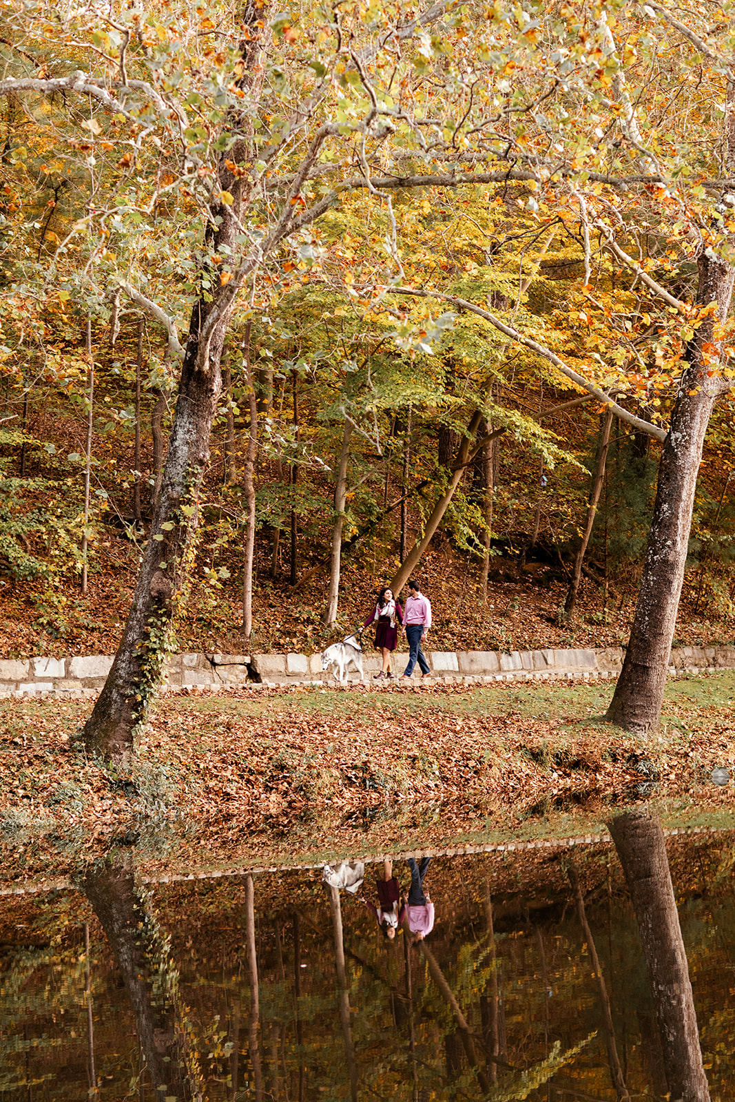 Adam  Taylors Forest Hill Park Fall Engagement Shoot - Image Property of www.j-dphoto.com