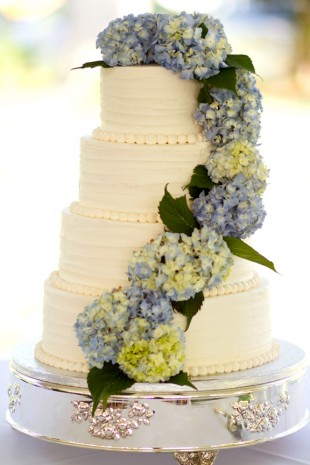 Caroline  Marshalls Eastern Shore Wedding - Image Property of www.j-dphoto.com