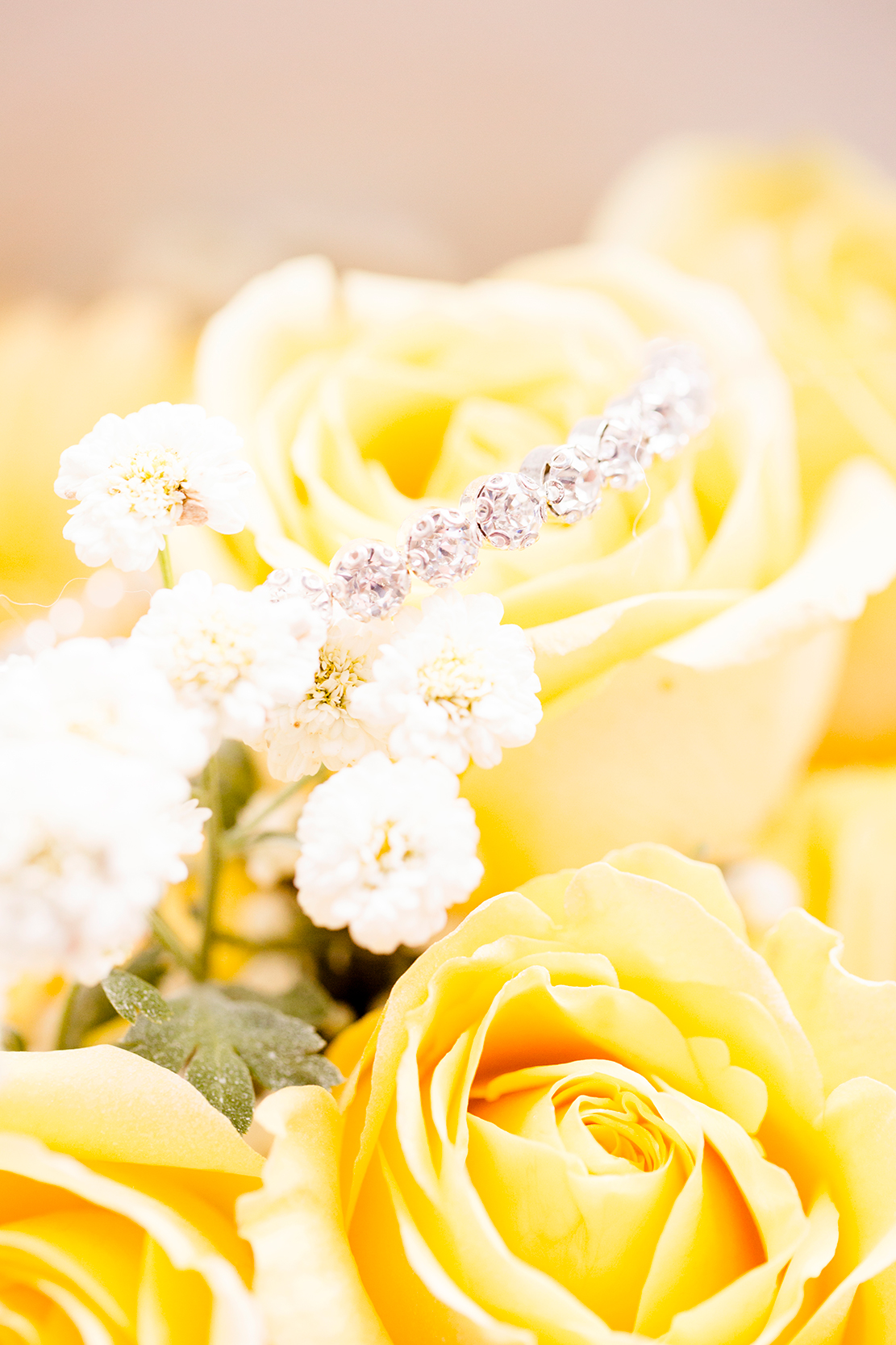 Alden  Ryans Wedding at Lewis Ginter Botanical Gardens - Image Property of www.j-dphoto.com