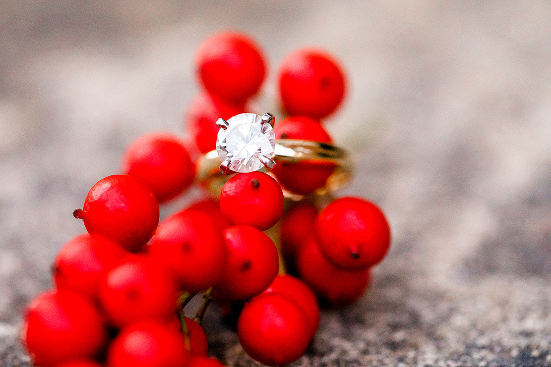 Alex  Kevins Christmas Engagement Shoot - Image Property of www.j-dphoto.com