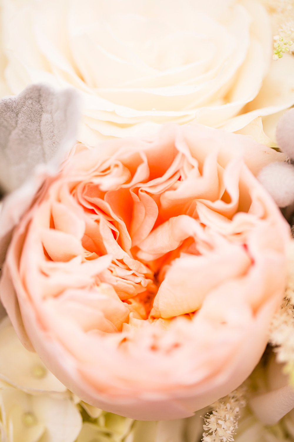 Andrew  Stephanies Wedding at The Dominion Club - Image Property of www.j-dphoto.com