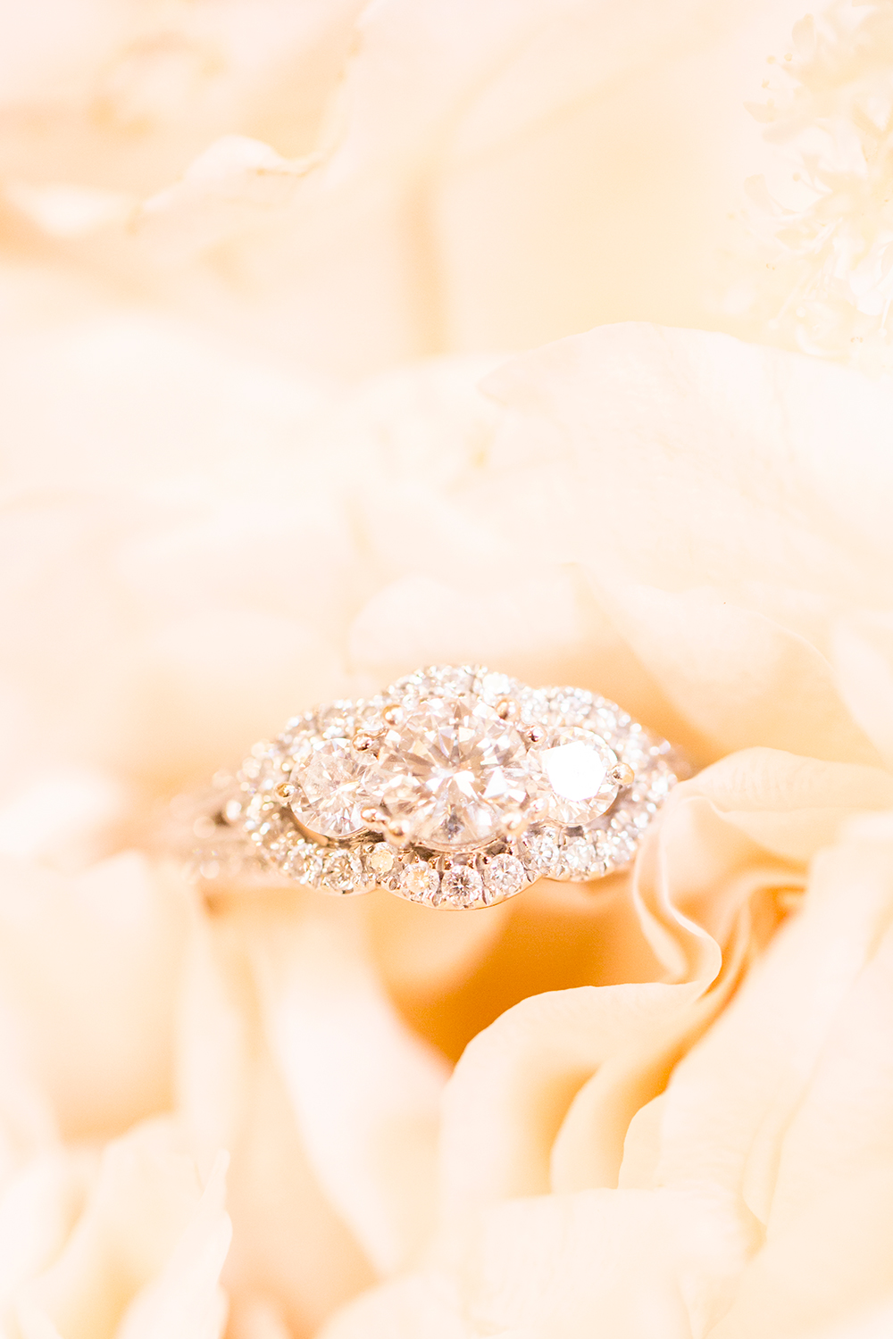 Andrew  Stephanies Wedding at The Dominion Club - Image Property of www.j-dphoto.com