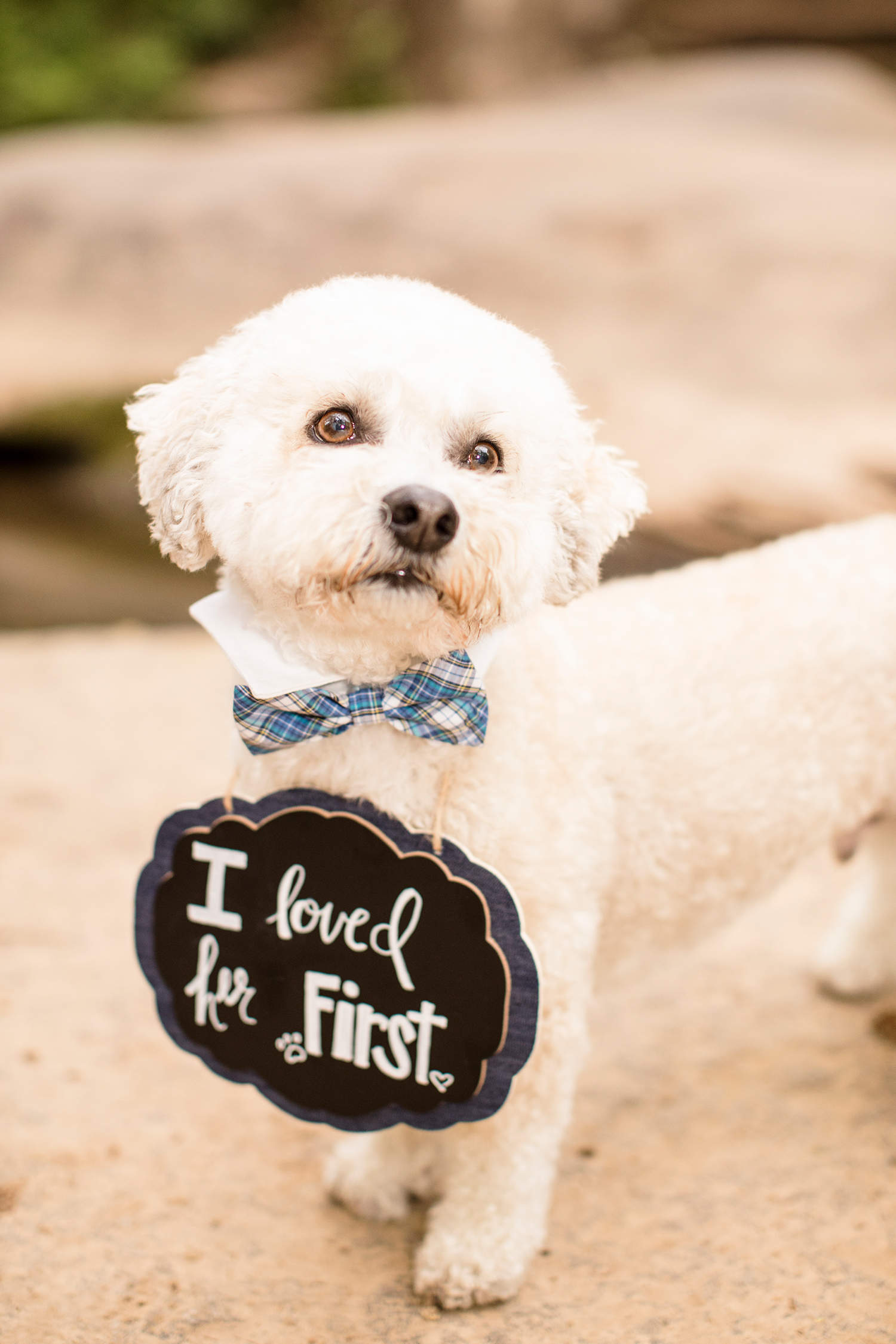 Ashton  Craigs James River Engagement Session - Image Property of www.j-dphoto.com