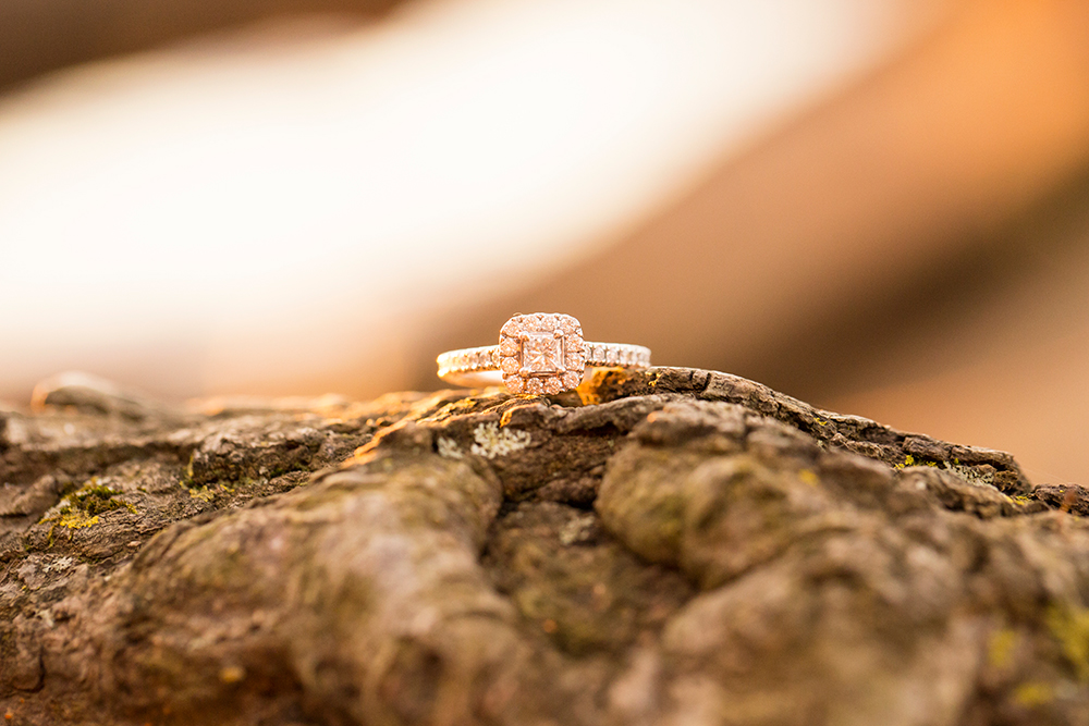 Ashley  Tylers Golden Hour Engagement Session - Image Property of www.j-dphoto.com