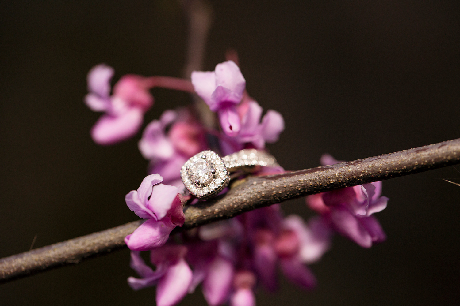 Ashlen Tylers Spring Belle Isle Engagement - Image Property of www.j-dphoto.com